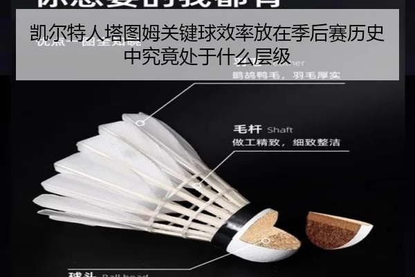 凯尔特人塔图姆关键球效率放在季后赛历史中究竟处于什么层级（kaiyun）